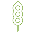 Soja