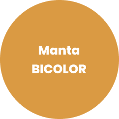 Manta bicolor