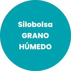 Silobolsa Grano Humedo