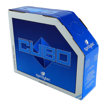 Cubo