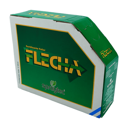Flecha
